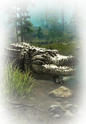 Иконка для "Alligator"